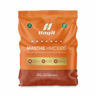 Masthe HMC1000 